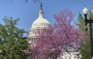 59f440bf-2a59-41d9-9ac7-6c2148e9cf95