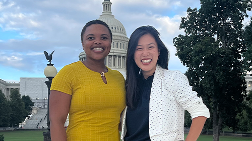 IEEE-USA Government Fellowships